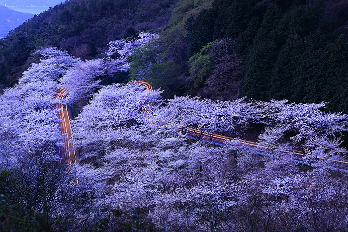 a0140608_7354593.jpg