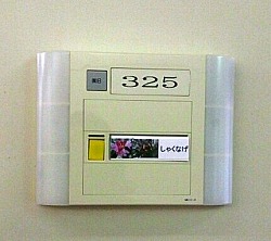 f0096508_202363.jpg