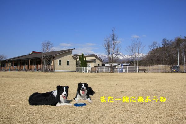d0224111_1913515.jpg