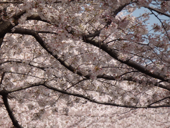 b0289815_16272226.jpg