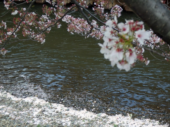 b0289815_16401259.jpg