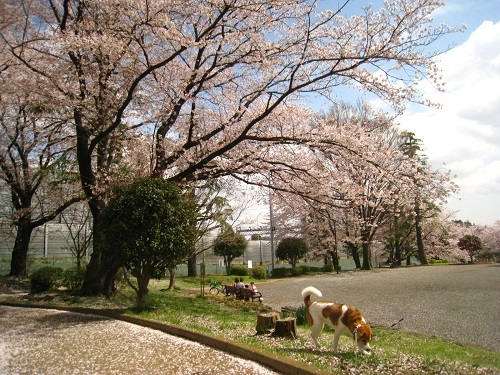 c0084117_18135679.jpg