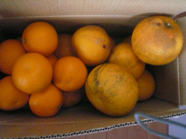 e0026017_9524832.jpg