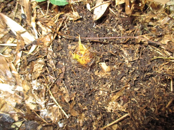 c0197220_1858115.jpg