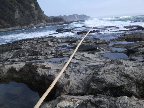 a0279321_1211544.jpg