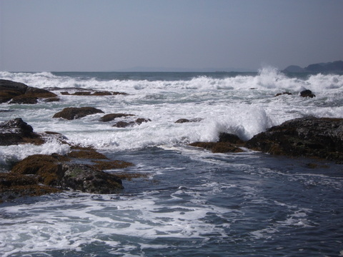 a0279321_1423574.jpg