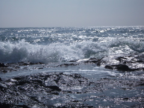 a0279321_15407100.jpg
