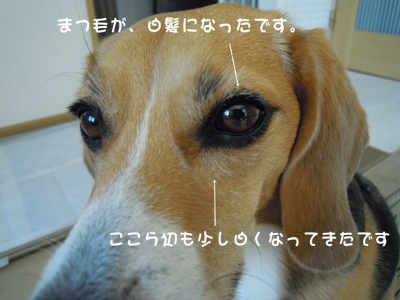 c0166622_13244555.jpg