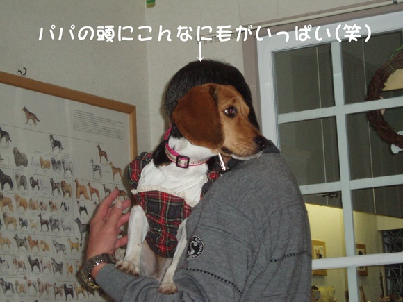 c0166622_13283552.jpg