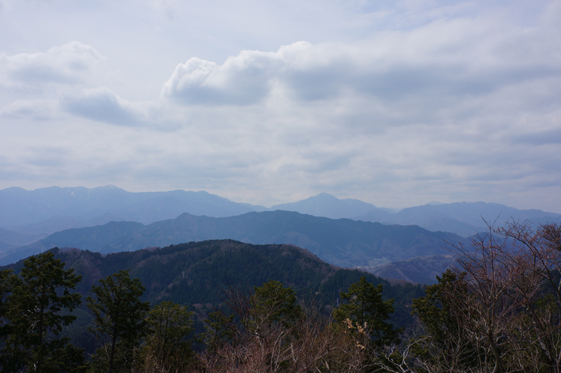 a0192923_1559711.jpg