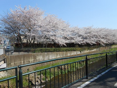 f0037623_15221349.jpg