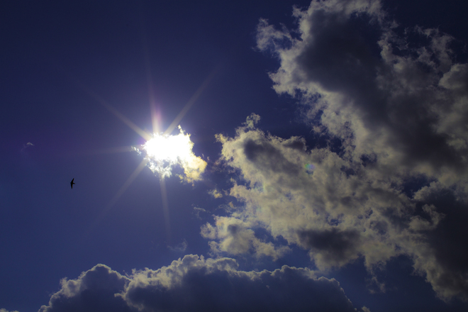 e0200926_2385270.jpg