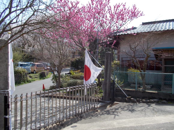 f0111128_18164227.jpg