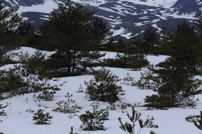 f0017530_2116526.jpg