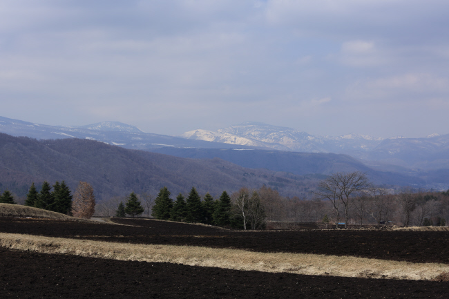 f0017530_2343373.jpg