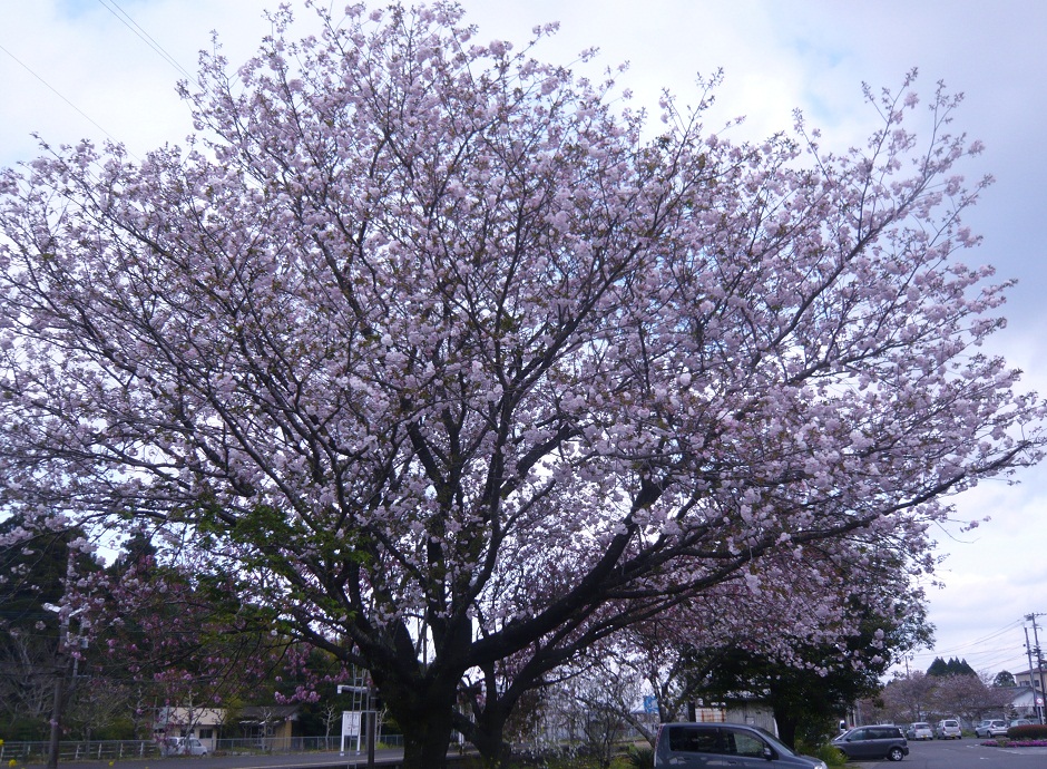 a0206332_13112879.jpg