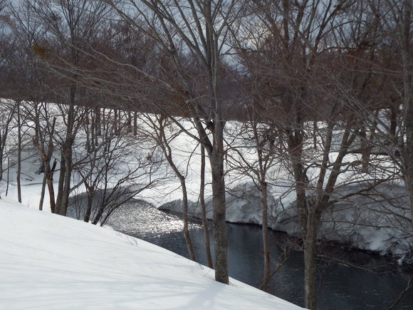 f0118332_23234016.jpg