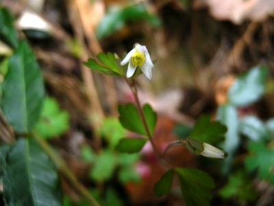 e0272335_20503.jpg