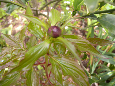e0272335_2054963.jpg