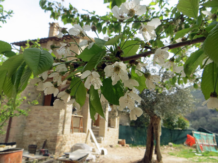 f0234936_6413111.jpg