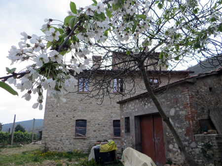 f0234936_6415536.jpg