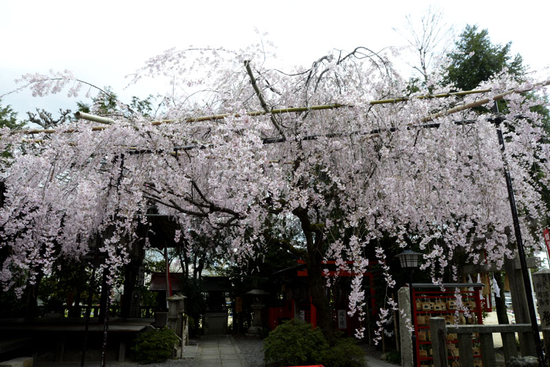 b0042837_2137273.jpg