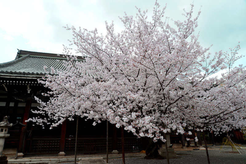 b0042837_21381761.jpg