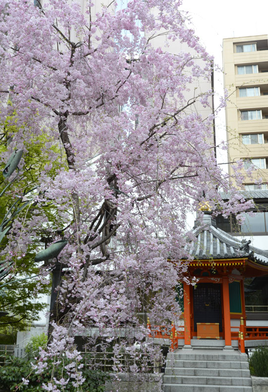 b0042837_21414742.jpg