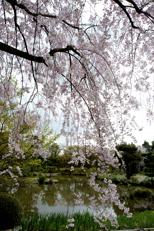 b0042837_214753.jpg