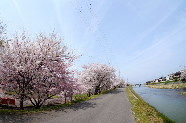d0241937_1751351.jpg