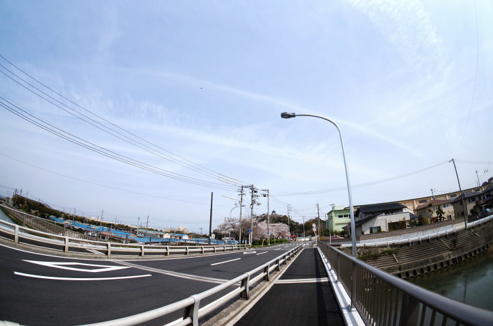 d0241937_1762717.jpg