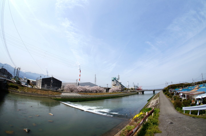 d0241937_1771924.jpg