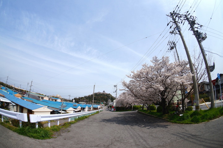 d0241937_1775039.jpg