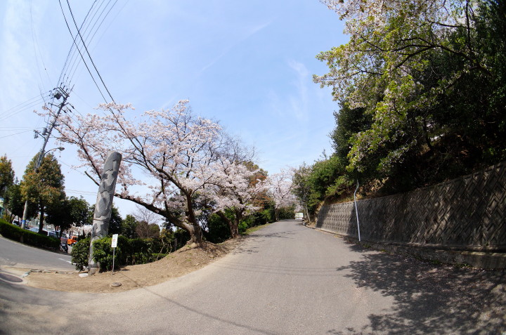 d0241937_178344.jpg