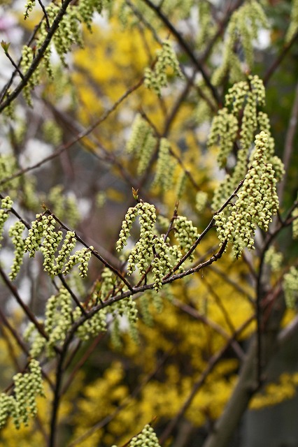 a0242438_19271057.jpg
