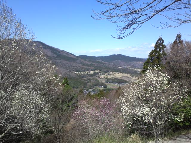 d0107938_12403590.jpg