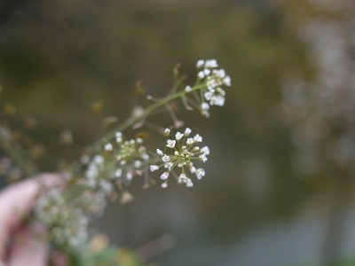 e0325038_22105690.jpg
