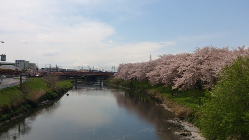 b0076739_06112009.jpg