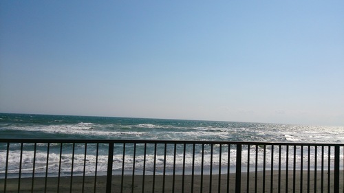 b0102639_15449.jpg