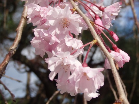 a0054240_10391344.jpg