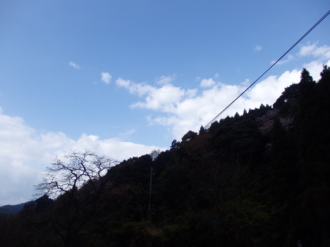 a0054240_1191751.jpg
