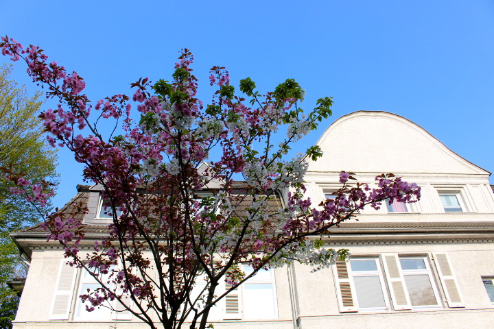 c0153740_1671567.jpg