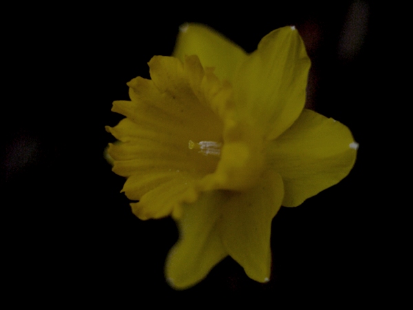 e0296043_3495062.jpg