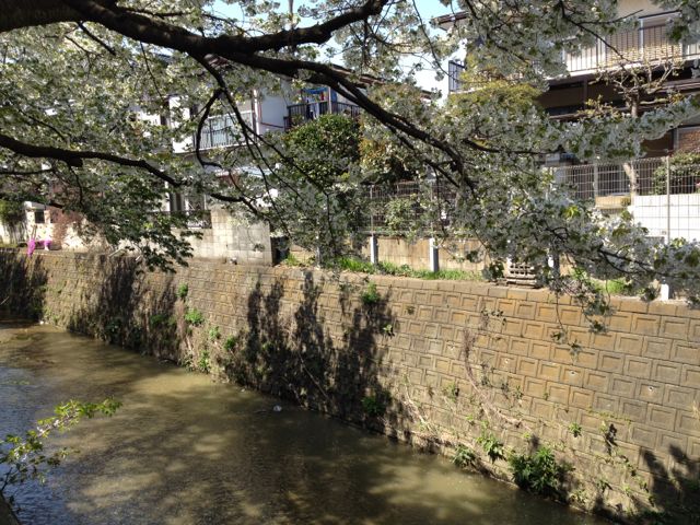 d0319745_18501394.jpg