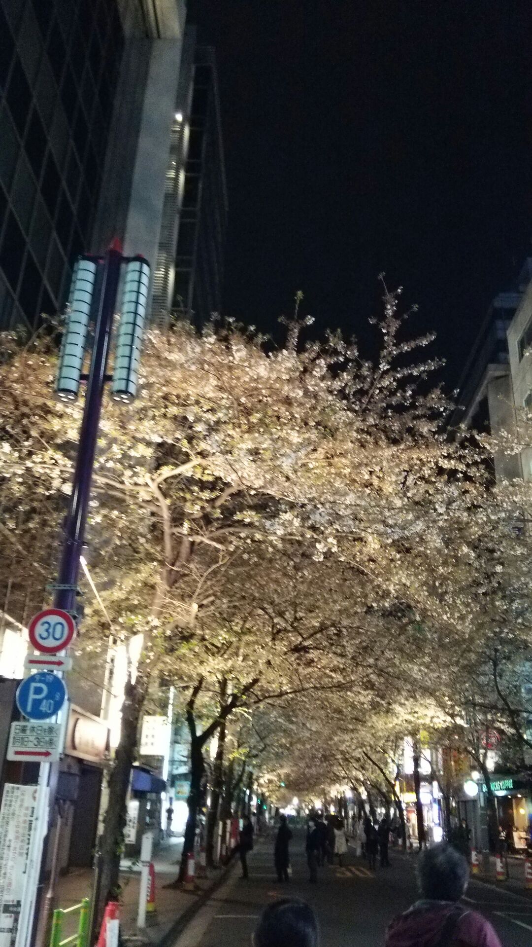 c0011446_0485776.jpg