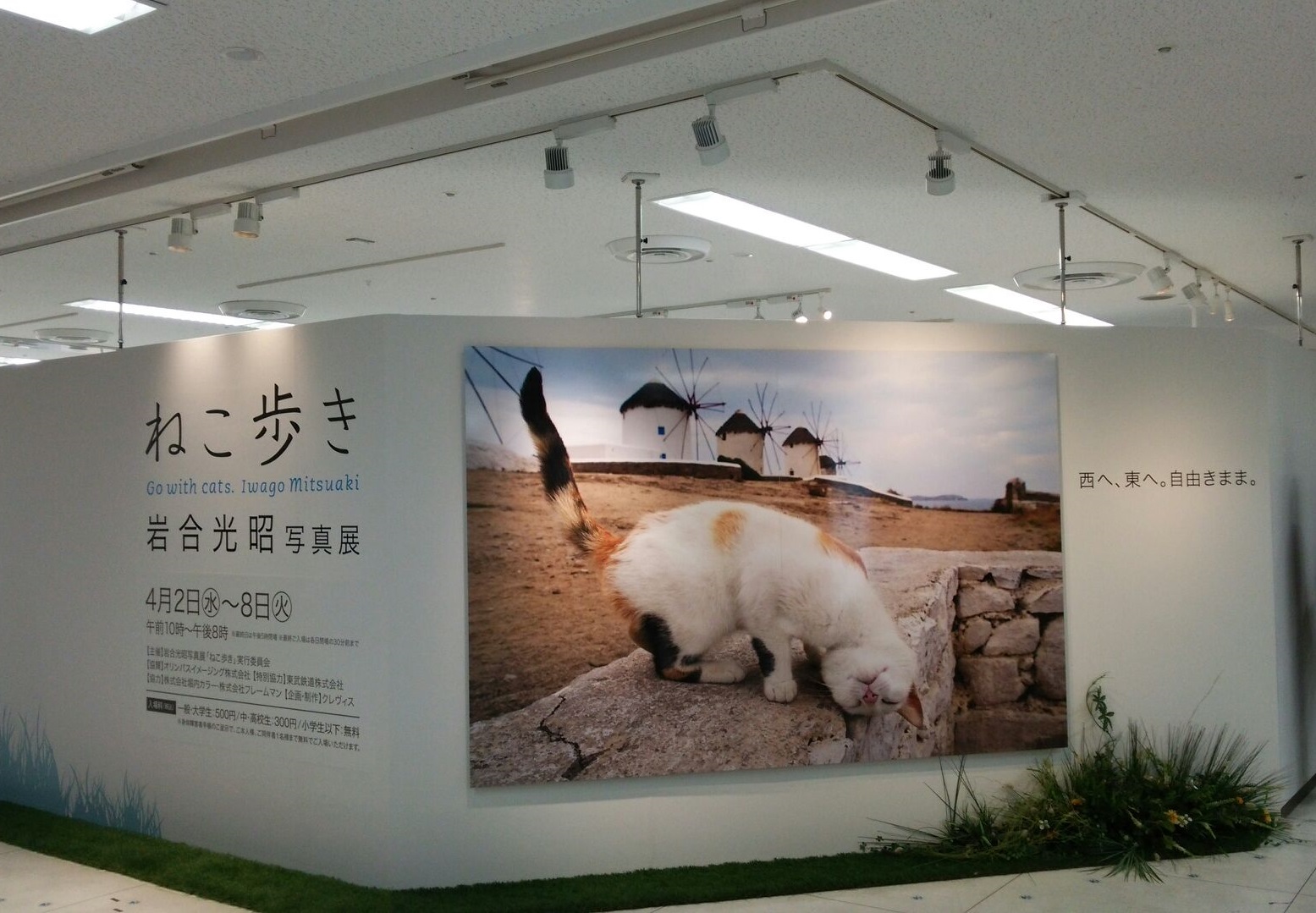 c0011446_0584312.jpg
