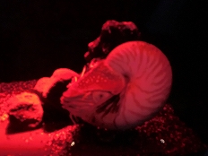 d0138650_21241737.jpg