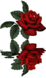 b0133752_23373573.gif
