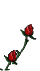 b0133752_23391194.gif