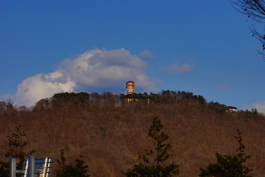 e0223456_833813.jpg